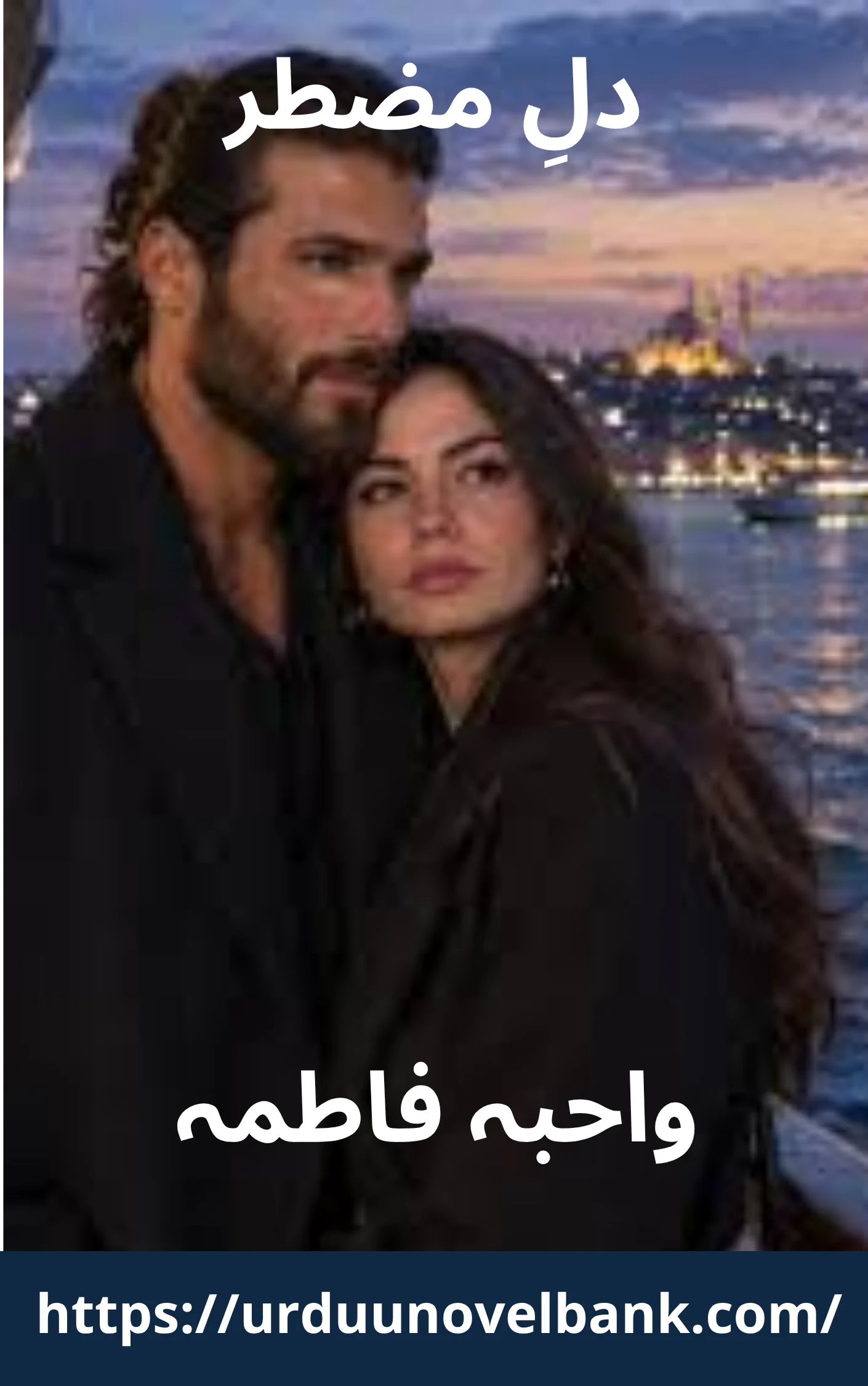 Dil E Muztar Novel By Wahiba Fatima