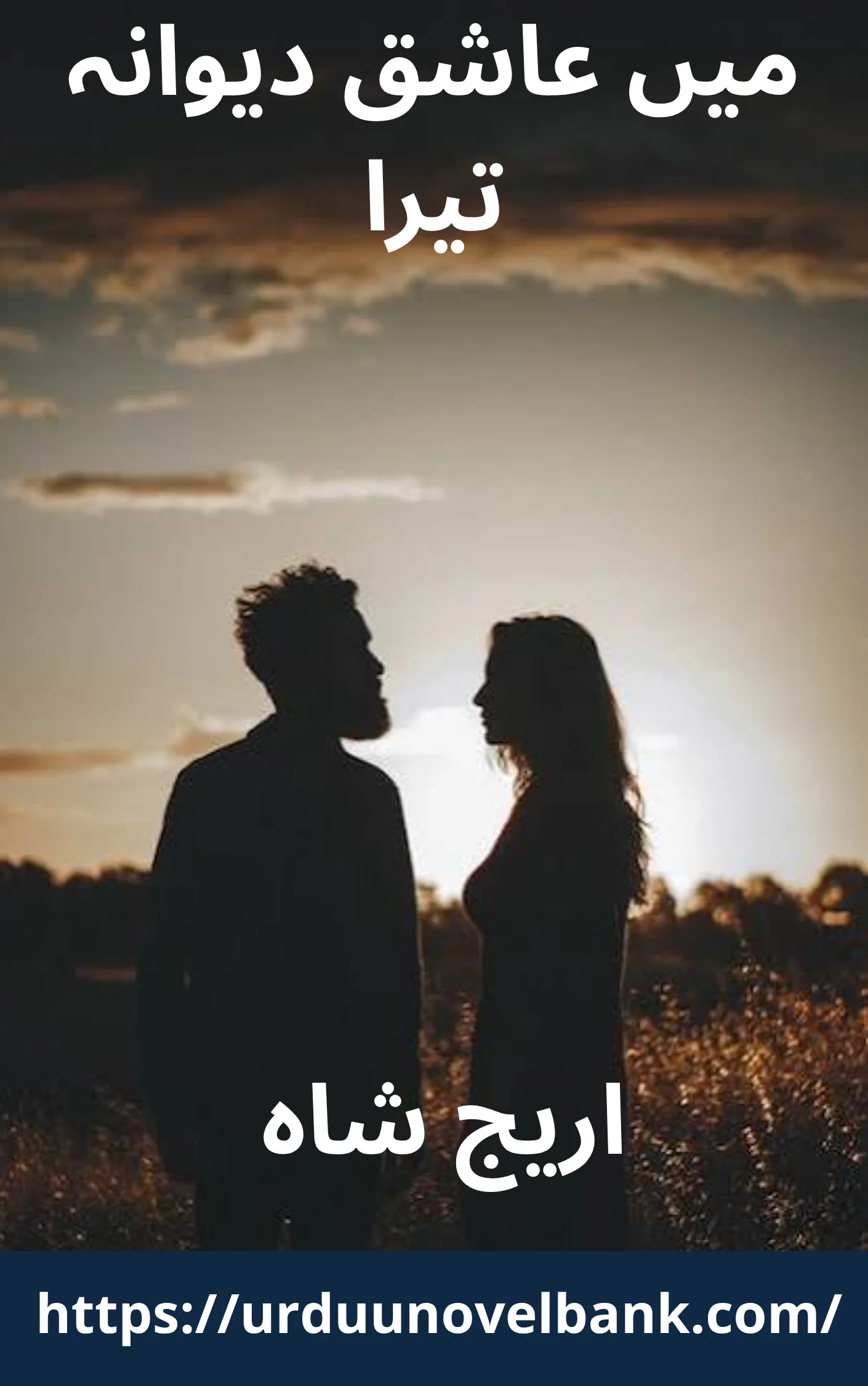 Main Aashiq Deewana Tera Novel By Areej Shah