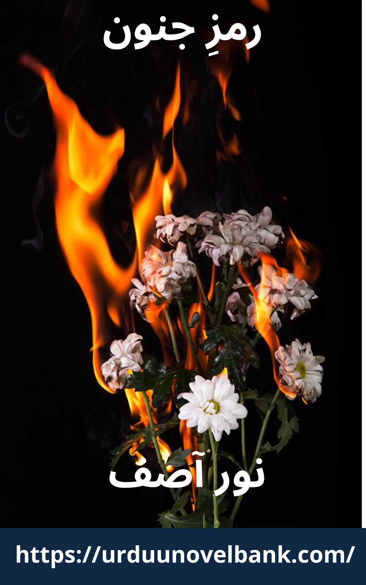 Ramz e Junoon Novel By Noor Asif