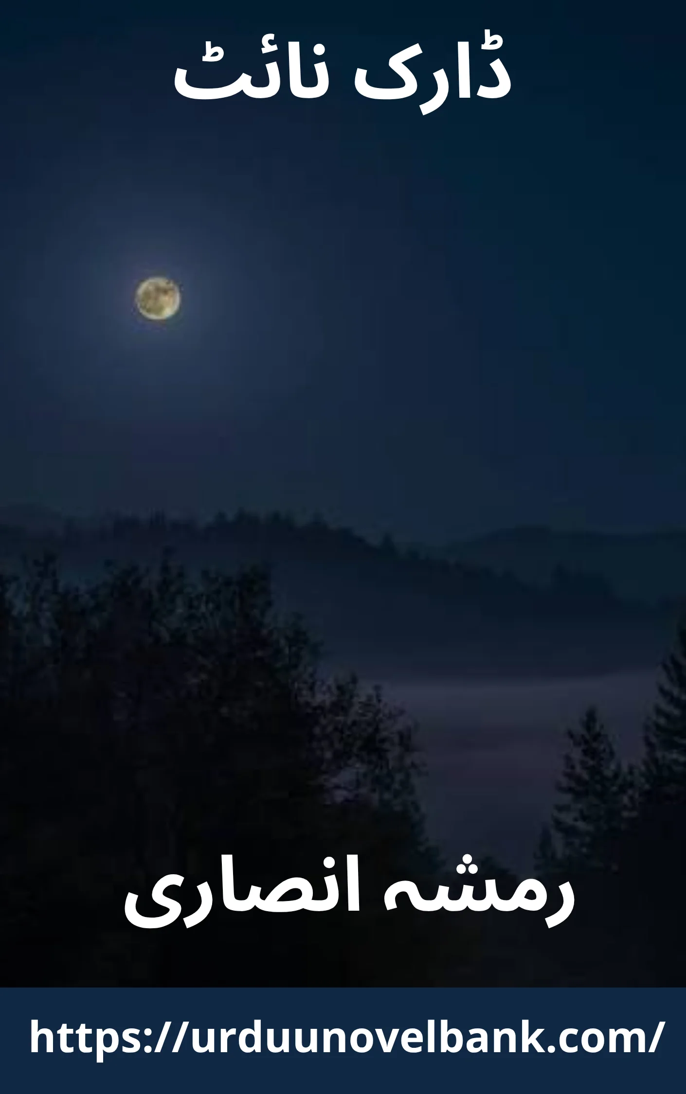 Dark Night Novel By Rimsha Ansari